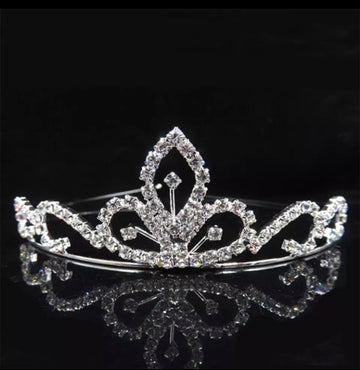Beautiful Princes Crown
